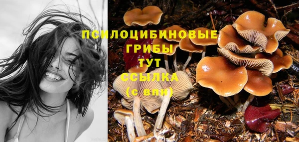 меф Куйбышев