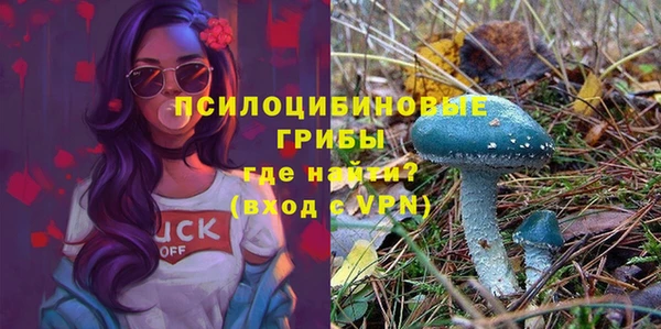 MESCALINE Анива