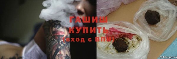 гидра Анжеро-Судженск
