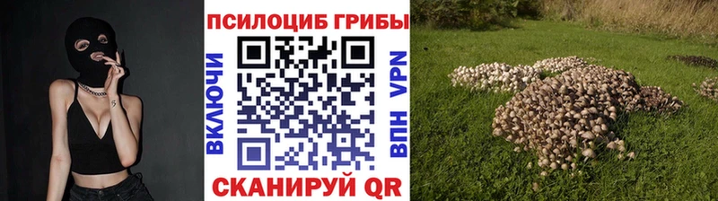 как найти наркотики  Новохопёрск  hydra tor  Псилоцибиновые грибы мухоморы 